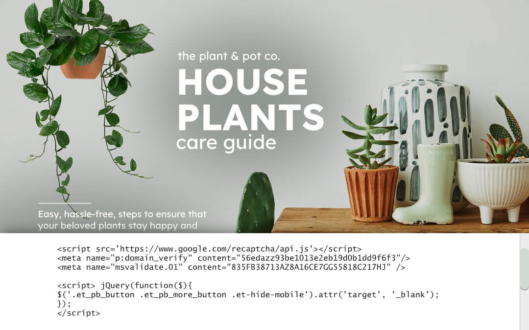 Coding on website page